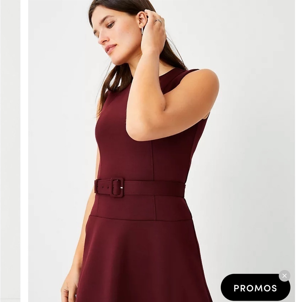 NWT Ann Taylor Dress Beltered Flare Sleeveless Bold Bordeaux Red Cocktail Weddin